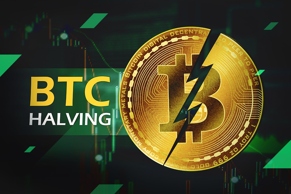 btc-halving-all-you-need-to-know-1715570879.jpg