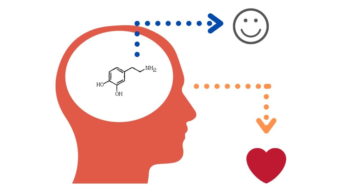 vai-tro-cua-dopamine-1125x633-1717381461.jpg