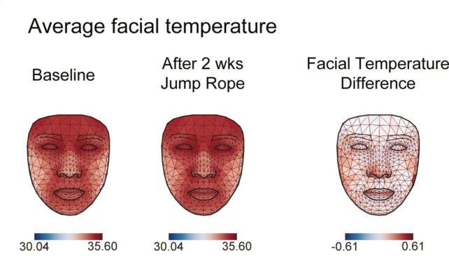 jumpropefacemap-642x384-17202232754191203826377-1720231545605-1720231546017690488454-1720263557.jpg