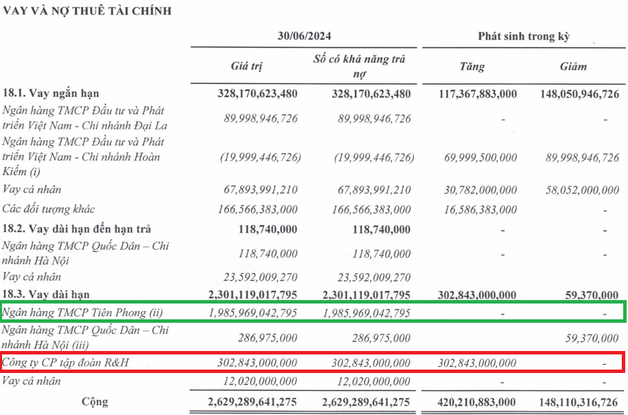 



Thuyết minh vay nợ tài chính của Vinahud tại Báo cáo tài chính hợp nhất quý II/2024

