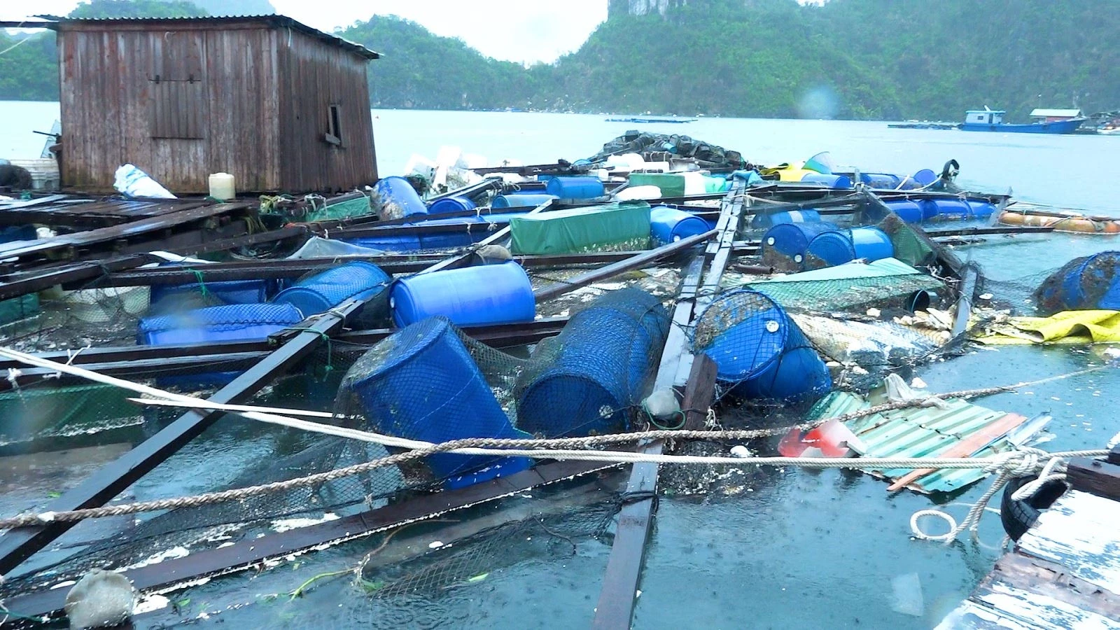 



Nhiều khách hàng bị thiệt hại sau bão số 3 mong muốn được ngân hàng cho vay mới để khôi phục sản xuất

