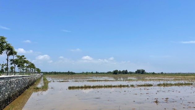 



Hiện trạng khu đất chuẩn bị triển khai dự án (Ảnh: Lê Hữu Chính - Báo Thanh tra)

