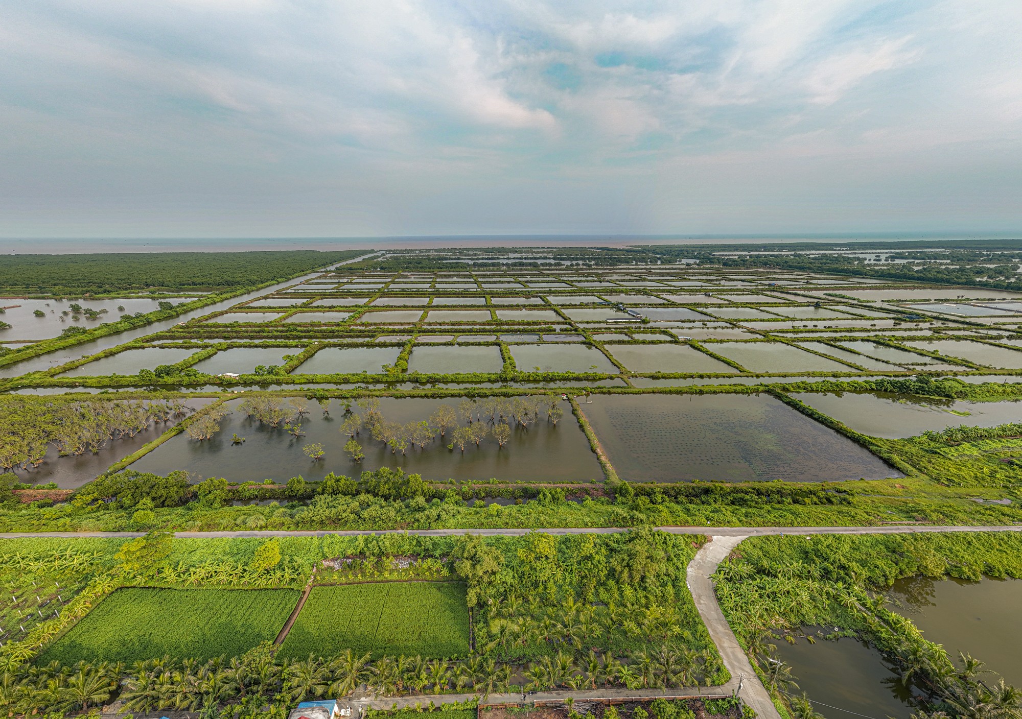 



Khu vực dự kiến xây dựng sân bay quốc tế Tiên Lãng chủ yếu là đất ven biển (Ảnh: Ngọc Đẹp - Nhịp sống thị trường)

