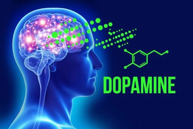 vai-tro-cua-dopamine-mot-hormone-hanh-phuc-cua-co-the-1-2b340dff97-1717381411.webp