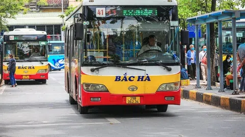 Hà Nội dừng 5 tuyến xe buýt hoạt động không hiệu quả