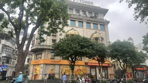 Cận cảnh tòa nhà 7 tầng trên đất vàng của Tân Hoàng Minh liên tục bị ngân hàng "đại hạ giá"