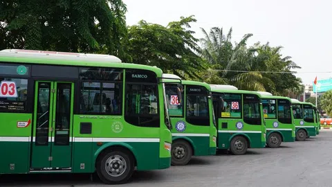 TP HCM: Đưa vào sử dụng hàng trăm xe buýt đời mới