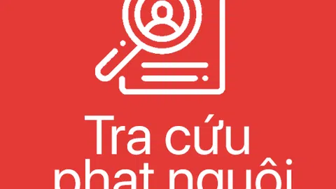 Hướng dẫn cách tra cứu phạt nguội nhanh, chính xác