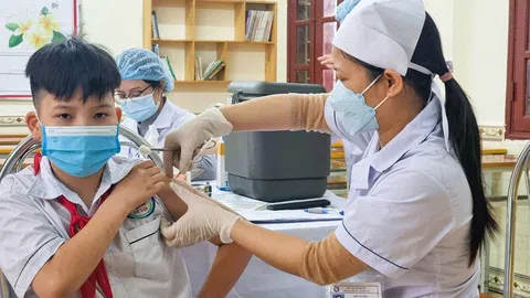 Hà Nội triển khai tiêm miễn phí vaccine uốn ván, bạch hầu cho trẻ 7 tuổi