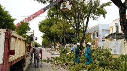 Hà Nội: Yêu cầu xử lý triệt để cây gãy đổ sau bão Yagi