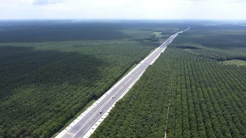 Toàn cảnh tuyến đường 50km băng qua cánh đồng cao su bạt ngàn ở Bình Dương