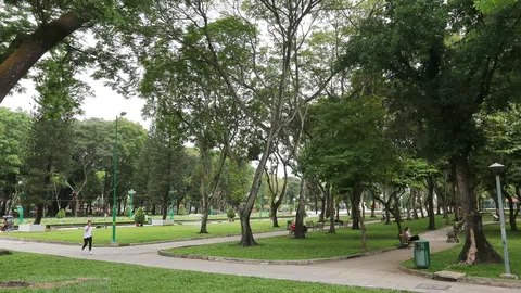 TP. Hồ Chí Minh quyết tâm triển khai đô thị xanh bằng nhiều phương pháp