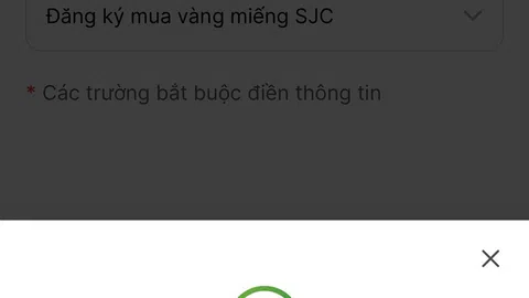 Trang web ngân hàng quá tải chỉ sau 1 phút mở bán vàng online