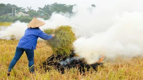 Hà Nội đặt mục tiêu không đốt rơm rạ, giảm đốt vàng mã