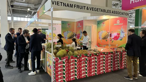 Nông sản Việt phổ biến trên kệ hàng quốc tế