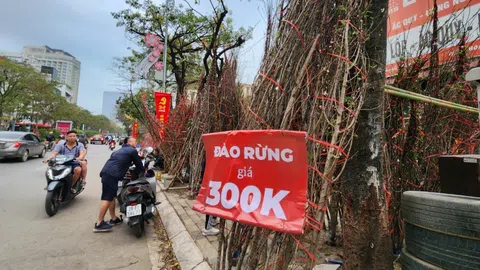 Hoa Tết ế ẩm, tiểu thương như "ngồi trên đống lửa"