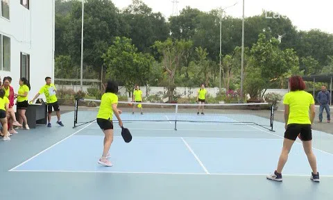 Trào lưu chơi Pickleball lên ngôi, các cửa kinh doanh dụng cụ "hốt bạc"