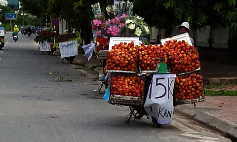 Hà Nội: Siết quản lý, tập trung xóa bỏ các điểm bán trái cây tự phát