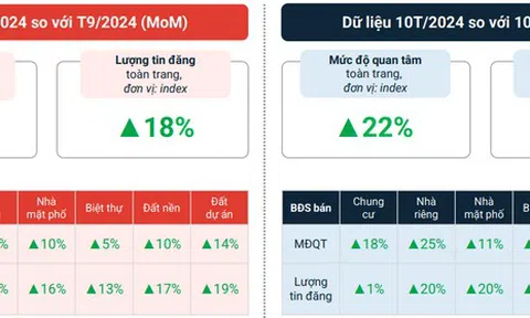 Hà Nội: Lượng tin rao bán đất nền bất ngờ tăng 40% trong tháng 10, vượt nhà riêng và chung cư