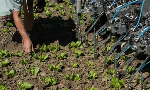 AI và robot tự động hóa: Tương lai của một nền nông nghiệp xanh, sạch và an toàn