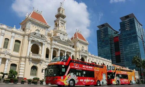 TP.HCM: Thí điểm buýt mui trần và tuyến xe kết nối sân bay từ 2025