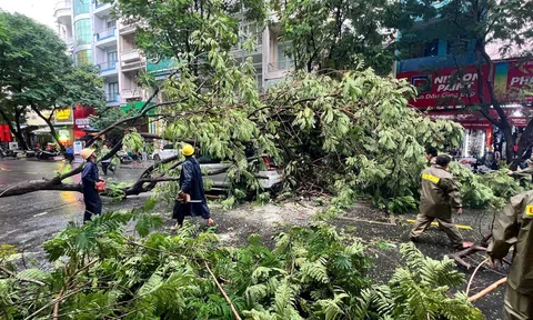 Cảnh sát Hà Nội nhận hơn 70 tin báo cứu nạn, cứu hộ