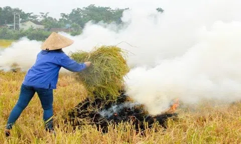 Ô nhiễm không khí, đốt rác tự phát...khiến cuộc sống người dân thành thị đảo lộn