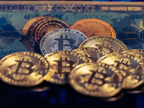 Các nhà đầu tư mạo hiểm đang quay trở lại với Bitcoin
