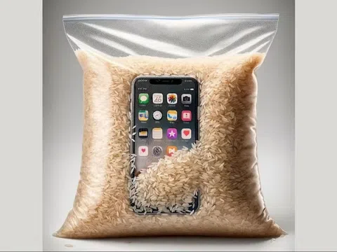 Apple chỉ các bước xử lý iPhone dính nước và phủ nhận cách "bỏ vào thùng gạo" 