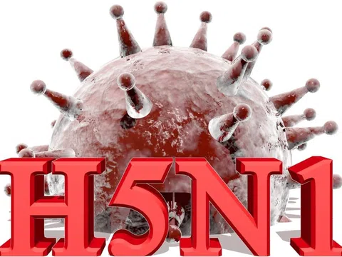Từ vụ sinh viên tử vong do cúm A/H5N1: Chuyên gia khuyến cáo điều người dân hay mắc phải