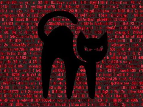 Mỹ treo thưởng 10 triệu USD cho người cung cấp thông tin về nhóm tin tặc khét tiếng Blackcat