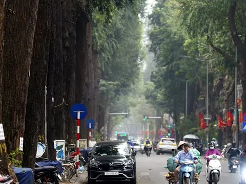 Hà Nội: Hơn 1.000 hộ dân ký cam kết không xâm hại cây xanh