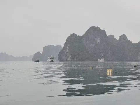 Vịnh Hạ Long: Rác thải trôi lềnh bềnh làm xấu đi hình ảnh vịnh di sản