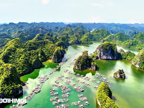 Vịnh Hạ Long - Quần đảo Cát Bà vừa nhận danh hiệu di sản thiên nhiên thế giới