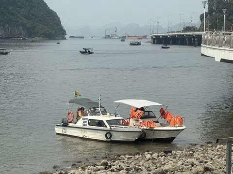 Quảng Ninh: Xử lý đò, tàu cá tiếp tay tour du lịch “chui” trên vịnh Hạ Long