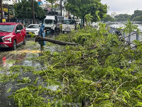 TP. HCM yêu cầu triển khai gấp các biện pháp phòng chống mưa dông, lốc xoáy