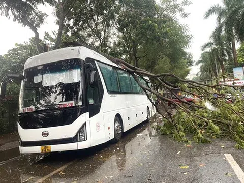 Hà Nội: Siêu bão Yagi chưa đổ bộ, đã có những thiệt hại đầu tiên về người và tài sản