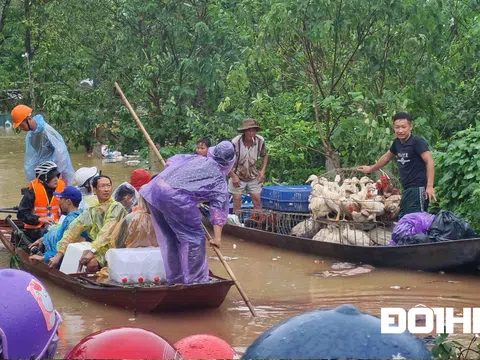 Hà Nội báo động lũ trên sông Hồng, người dân hối hả chạy ngập