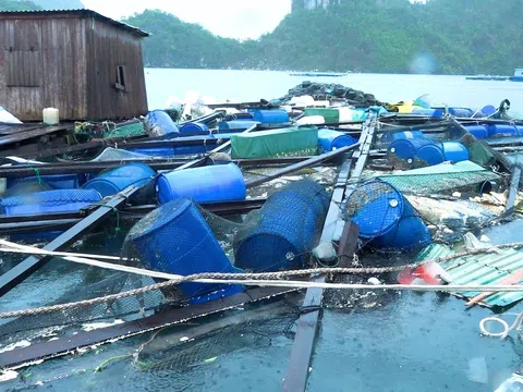 Các ngân hàng “than” thiếu cơ sở pháp lý để triển khai các giải pháp hỗ trợ sau bão