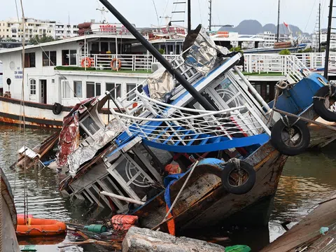 Quảng Ninh: Nỗi lo ô nhiễm môi trường khi hàng chục tàu đắm chưa được trục vớt