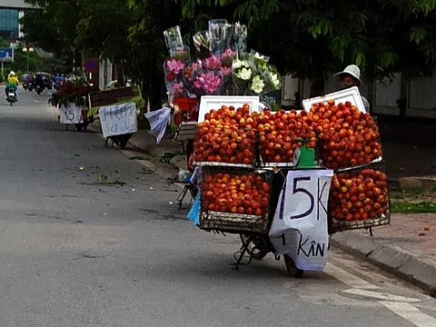 Hà Nội: Siết quản lý, tập trung xóa bỏ các điểm bán trái cây tự phát