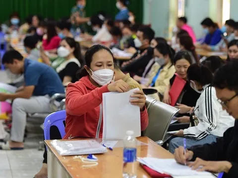 Khó khăn của lao động trung niên: Chật vật tìm việc mới, cảnh giác bẫy lừa đảo trực tuyến