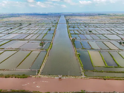 Toàn cảnh khu vực được Tập đoàn Xuân Thiện rót 100.000 tỷ xây nhà máy lớn nhất tỉnh Nam Định