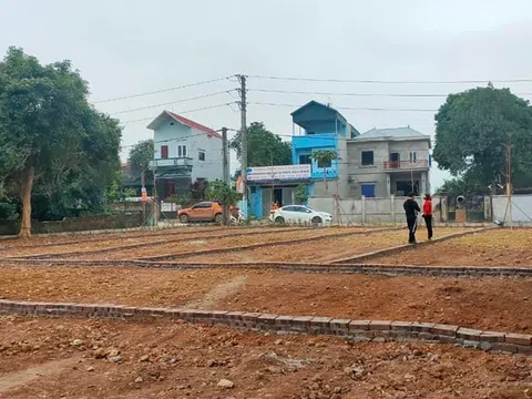 Gần 100 lô đất ven Hà Nội sắp lên “sàn”, giá khởi điểm chỉ từ 5,6 triệu đồng/m2