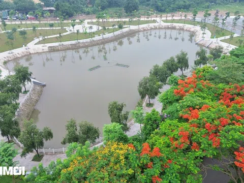 Chiêm ngưỡng vườn hoa trị giá hơn 81 tỉ đồng vừa được gắn biển tại Long Biên
