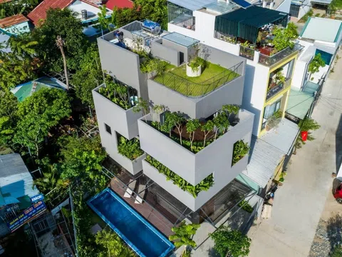 Ngôi nhà xây trên diện tích 80m2 với các góc 90 độ tràn ngập cây xanh