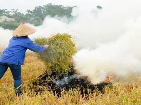 Ô nhiễm không khí, đốt rác tự phát...khiến cuộc sống người dân thành thị đảo lộn