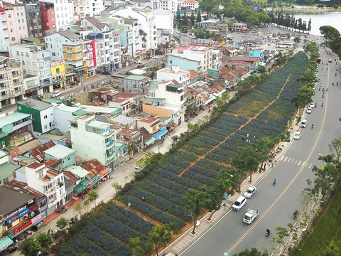 Đà Lạt: Khu trung tâm thương mại Ánh Sáng "đứng hình" 16 năm khiến người dân khốn khổ