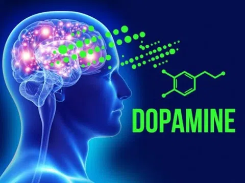 “Liều thuốc Dopamine”: Cái gì càng hại, lại càng hấp dẫn