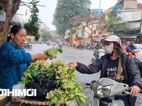 Tháng giêng, mùa bận rộn của người phụ nữ bán hoa lễ hơn 30 năm ở phố cổ